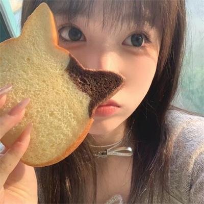 当狗爱上猫粤语